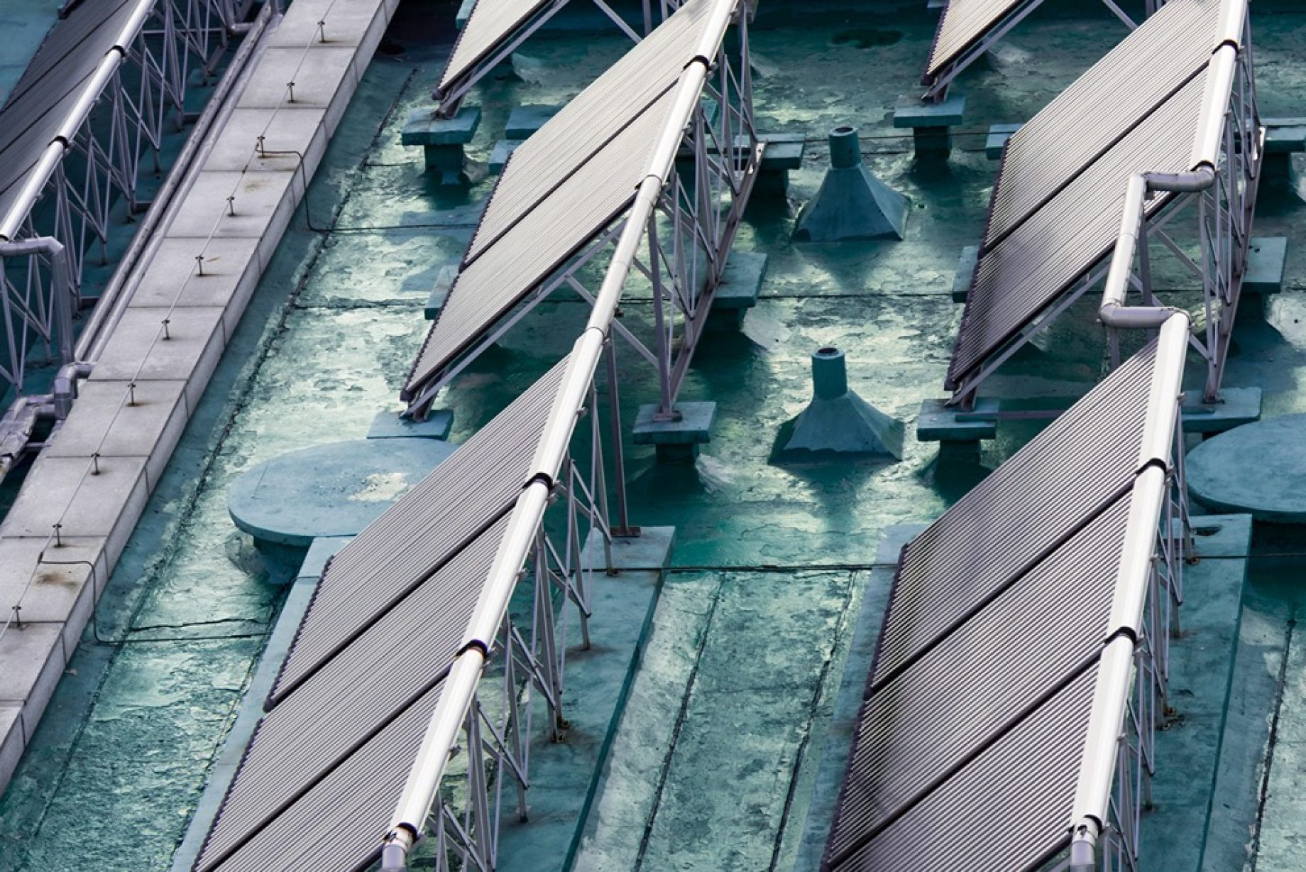 ecology-sunny-summer-global-alternative (1)